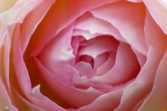 005_P1730346