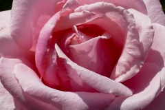 016_P1670994