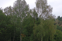 4-15