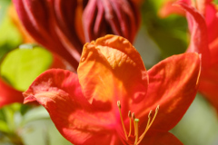 DSCF1543