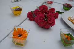 DSCF3494