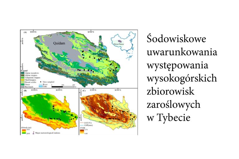 Zrozumieliśmy środowiskowe uwarunkowania występowania wysokogórskich zbiorowisk zaroślowych w Tybecie