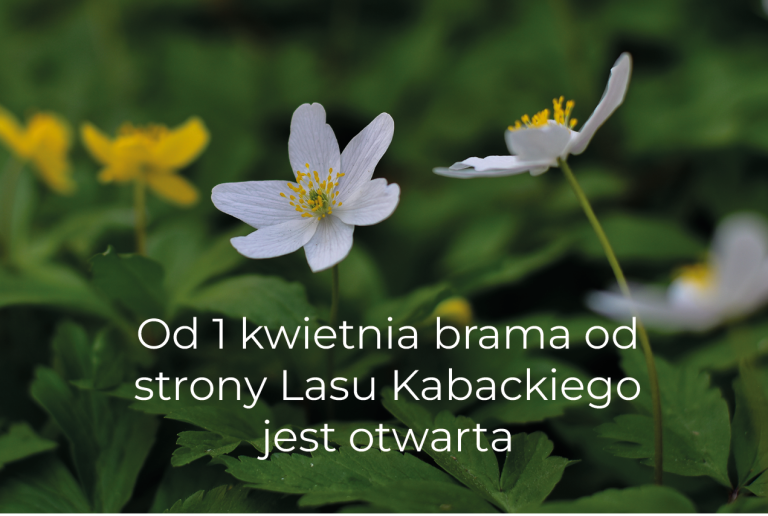 Brama leśna od 1 kwietnia otwarta