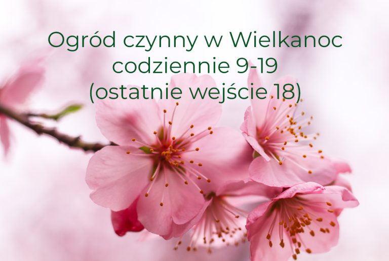 Godziny otwarcia w Wielkanoc