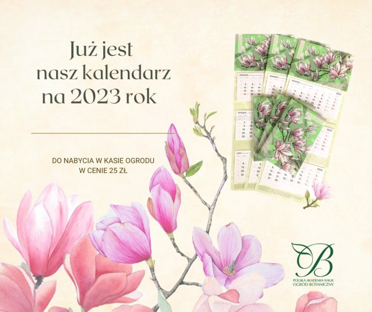 Nasz kalendarz na 2023 roku