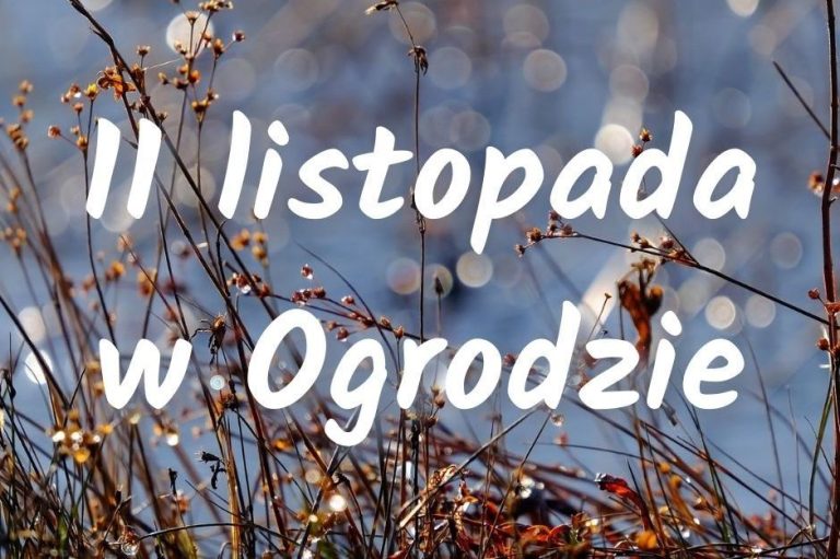 11 listopada w Ogrodzie