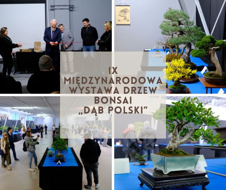 IX Międzynarodowa Wystawa Drzew Bonsai „Dąb Polski” – resume