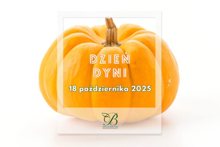 Pumpkin Day