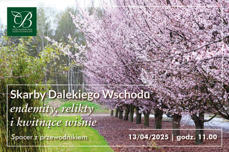 Skarby Dalekiego Wschodu – spacer