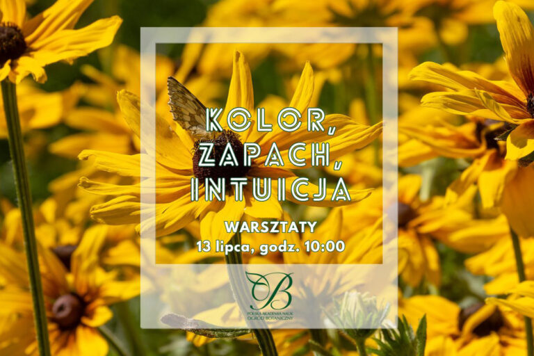 Color, smell, intuition - workshop