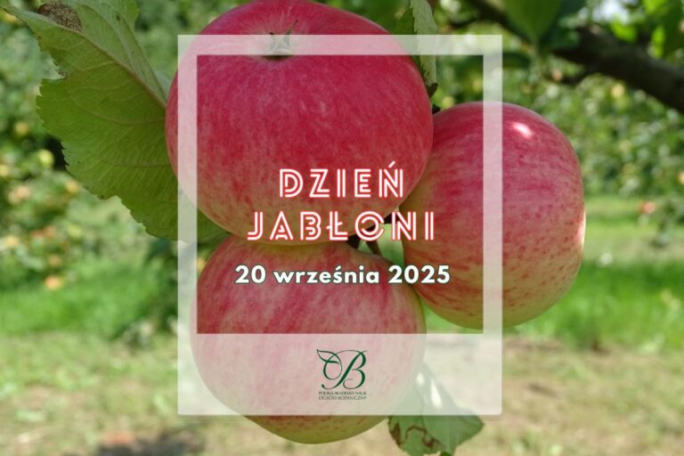 Dzień Jabłoni