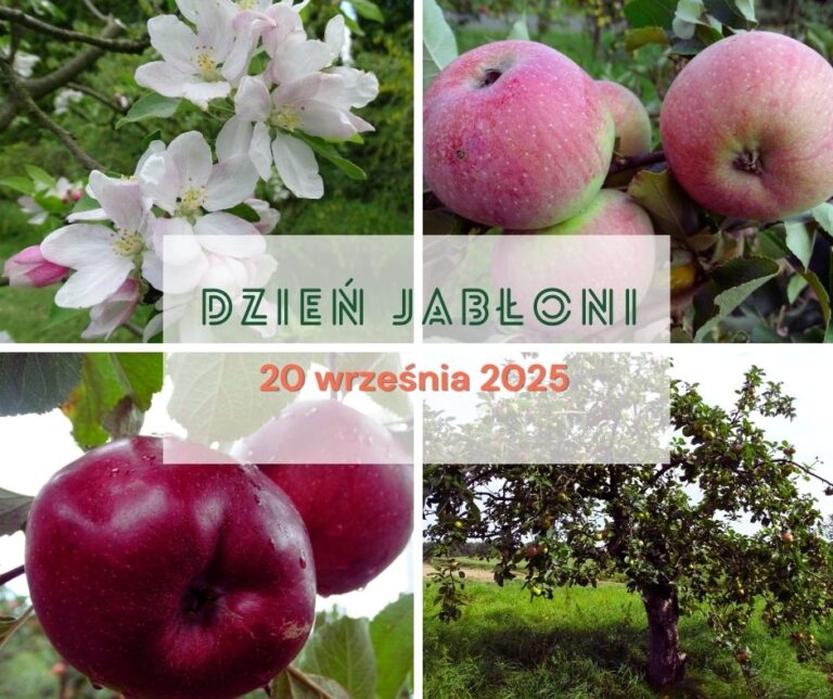 Apple Day