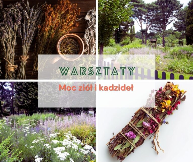 The Power of Herbs and Frankincense - a workshop
