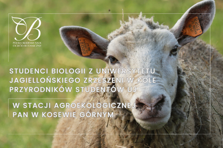 Biology students from the Jagiellonian University affiliated with the Jagiellonian University Student Naturalists Circle at the Agroecological Station of the Polish Academy of Sciences in Kosewo Górne