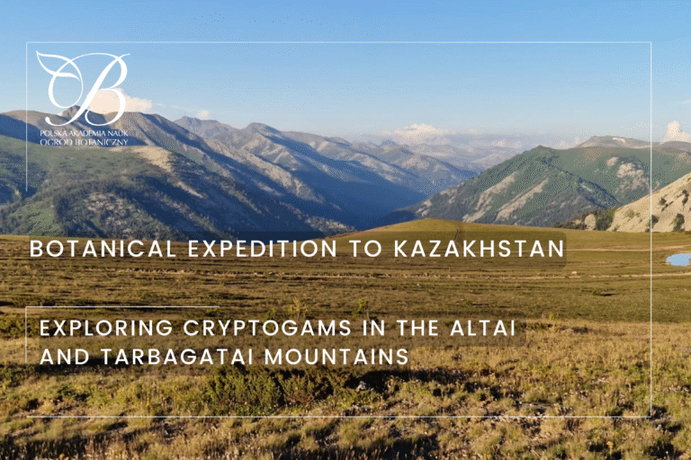 Botanical expedition to Kazakhstan - study of spore-bearing plant communities in the Altai and Tarbagatai mountains  