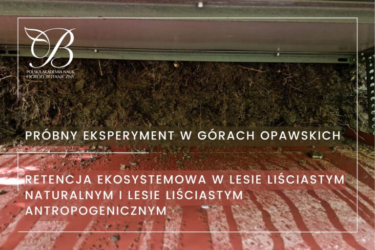 Trial experiment in the Opawskie Mountains - ecosystem retention in natural deciduous forest and anthropogenic deciduous forest