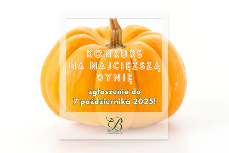 Konkurs na najcięższą dynię 2025!