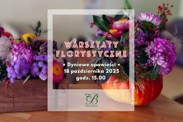 Dyniowe opowieści • warsztaty florystyczne